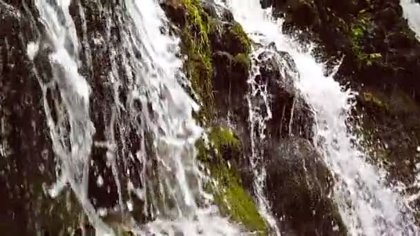 Mouvement lent d'une petite cascade de montagne. 240 ips. Le ruisseau de montagne tombe sur les pierres dans un fond . — Video