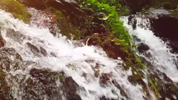 Slow motion van een kleine berg waterval. 240 fps. de bergbeek naar beneden valt op stenen in een bodem. — Stockvideo