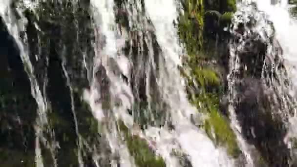 Slow motion van een kleine berg waterval. De bergbeek valt naar beneden op stenen in een bodem. — Stockvideo