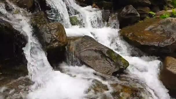 Movimiento lento de una pequeña cascada de montaña. El arroyo montañoso cae sobre las piedras en el fondo . — Vídeo de stock