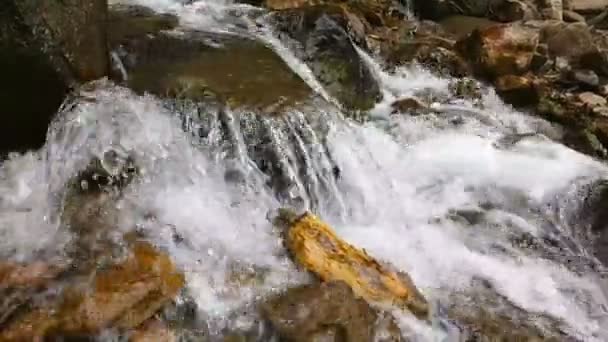 Mouvement lent d'une petite cascade de montagne. Le ruisseau de montagne tombe sur les pierres dans un fond .