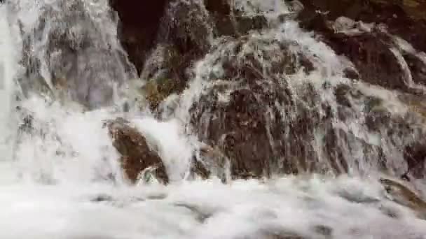 Rallentatore di una piccola cascata di montagna. Il torrente di montagna cade su pietre in un fondo . — Video Stock