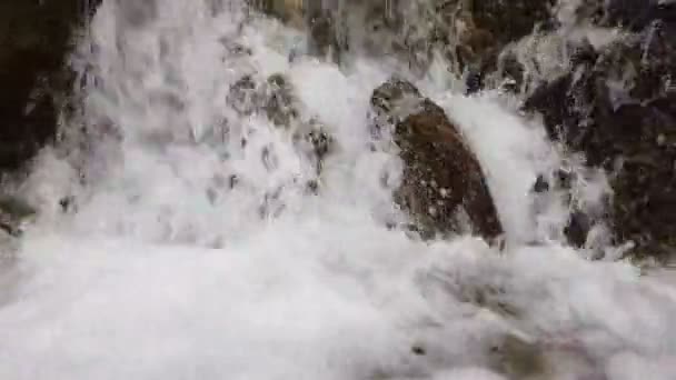 Slow motion van een kleine berg waterval. De bergbeek valt naar beneden op stenen in een bodem. — Stockvideo