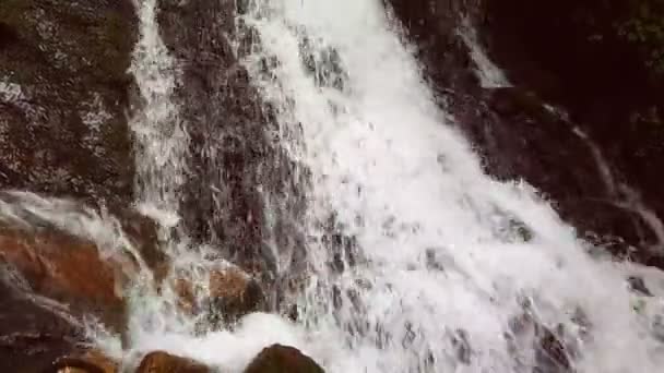 Rallentatore di una piccola cascata di montagna. Il torrente di montagna cade su pietre in un fondo . — Video Stock