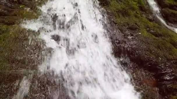 Медленное движение маленького горного водопада. Горный ручей падает на камни на дне . — стоковое видео