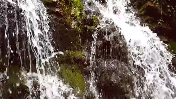 Повільний рух невеликого гірського водоспаду. 240fps. Гірський потік падає на камені внизу . — стокове відео