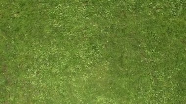 Yeşil çim futbol sahası üstten. Quadrocopter görüntüleyin. Doku