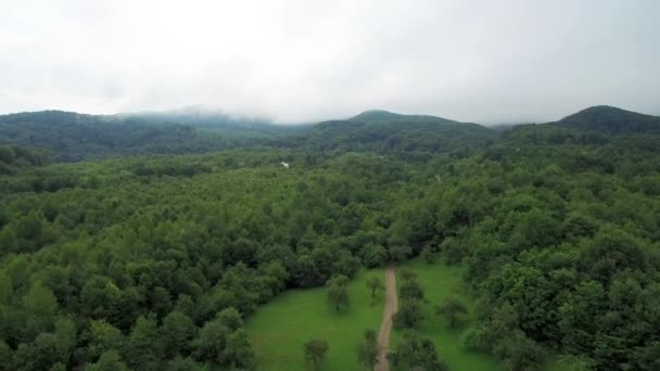 O voo acima das montanhas está coberto de nevoeiro. Fadas árvores verdes e jardins . — Vídeo de Stock