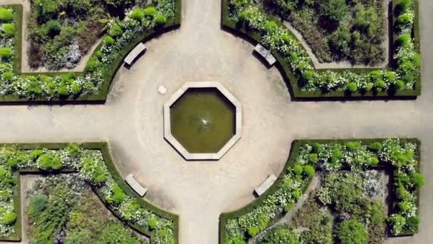 Parks im Düsseldorfer Volksgarten. rosengarten luftbild deutschland — Stockvideo