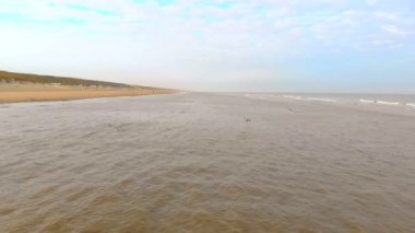 Havadan görünümü martılar Kuzey Denizi üzerinden uçmak. Ağır çekim 120 fps. Hollanda, Zandvoort sabah sahilde