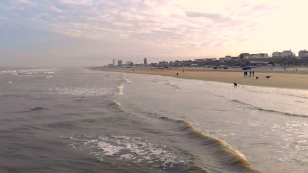 Wave moves towards the shore in the backdrop of a backyard sun. Netherlands Zanvoort — Stock Video