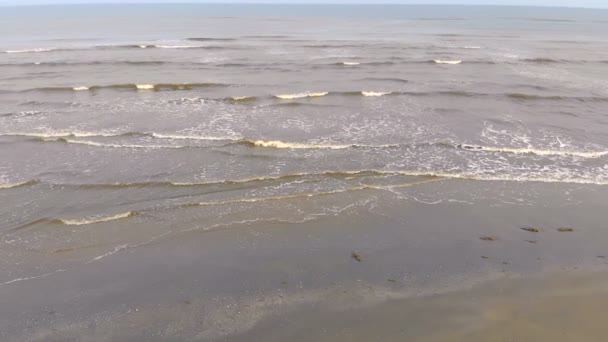 Wave of waves come to the shore slow motion. The seagull flies over the waves — Stock Video