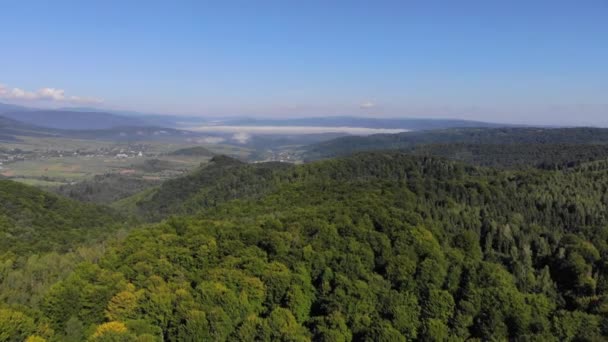 Dronefootge Vuelo sobre el bosque verde en un día soleado — Vídeos de Stock