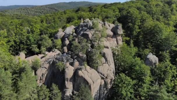 Aerial. Great relief of rocks among the thick green forest in the mountains — Stock Video