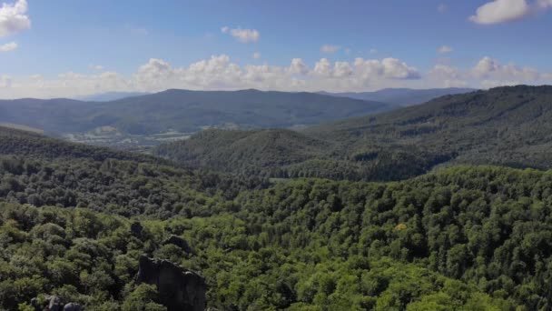 Drone Vol aérien au-dessus des montagnes couvertes de forêt verte, une énorme chaîne de montagnes de forêt. La caméra se lève lentement et montre une vue panoramique sur la vallée . — Video