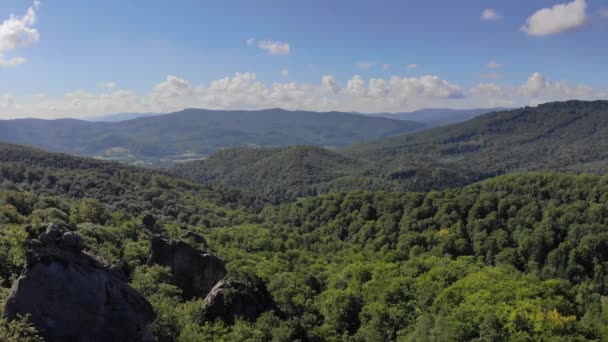 Drone Aerial volare sopra le montagne coperte di foresta verde, una vasta catena montuosa di foresta. La telecamera si sta lentamente alzando e mostra una vista panoramica sulla valle . — Video Stock