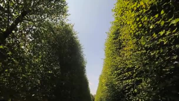 Summer is a beautiful Benrath park in Dusseldorf, Germany. camera movement, view uphill — Stock Video