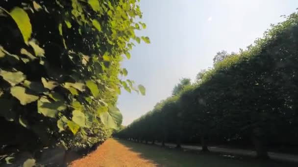 Léto je krásný park Benrath Düsseldorf, Německo. pohyb kamery, pohled do kopce — Stock video