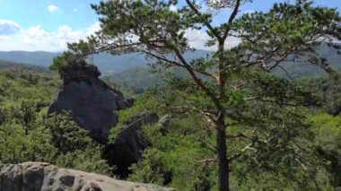 Dağların üzerinden uçak hava sinek ile yeşil orman, büyük bir dağ orman kaplı. Kamera yavaş yavaş yükselen ve Kurtlar Vadisi panoramik bir görünümünü gösteren.
