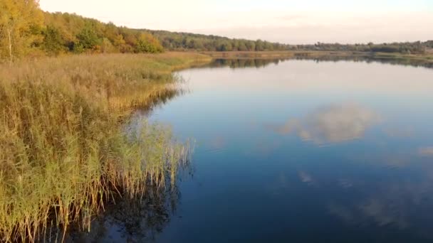 Havadan görünümü uçuş üzerinde muhteşem sonbahar nehir kıyısında. Bozulmamış doğa ve masal manzara — Stok video