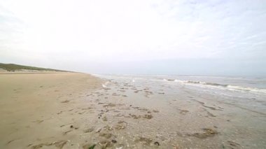 Sonra fırtına tarafından shore tarafından kapalı atılmış yosun kaplı plaj sahil şeridi. Martılar daire curtling hattı üzerinden. Deniz kirliliğinin ekolojik sorun.