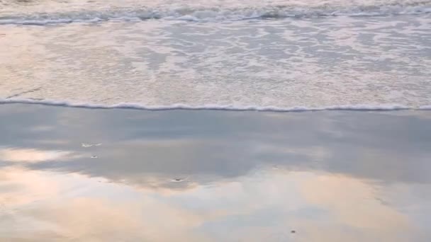 Onda si avvicina alla riva, il sole splende nell'acqua. L'onda del mare è bagnata dalla pittoresca riva di sabbia bianca. Sfondo o texture — Video Stock