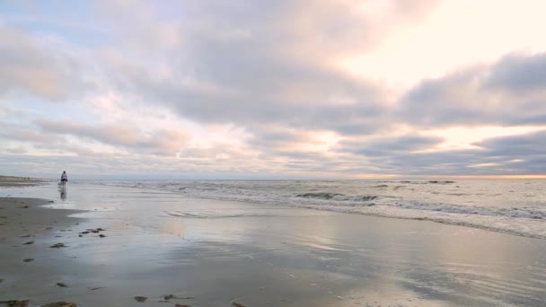 Západ slunce, podél pobřeží, žena chodí se svým psem podél pláže Severního moře