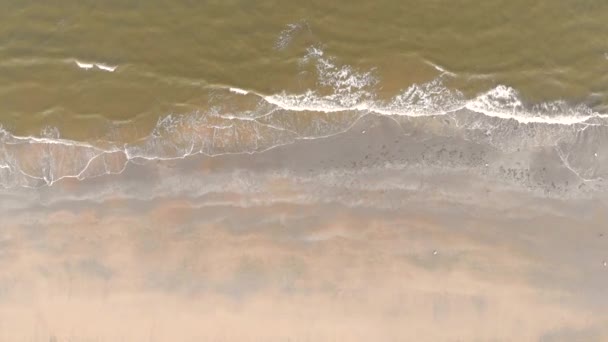 4K playa aérea, ola llega a la orilla, la vista desde arriba. Aguas verdes del Mar del Norte y arena gris — Vídeo de stock