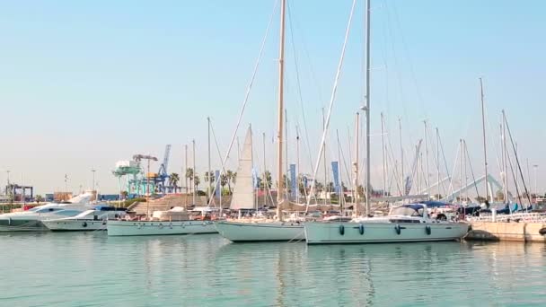 Yacht club nádherný ráno ve valence přístavu. Jachty zaparkované se houpe na vlnách. Plachetnice jsou zaparkované u námořního přístavu — Stock video