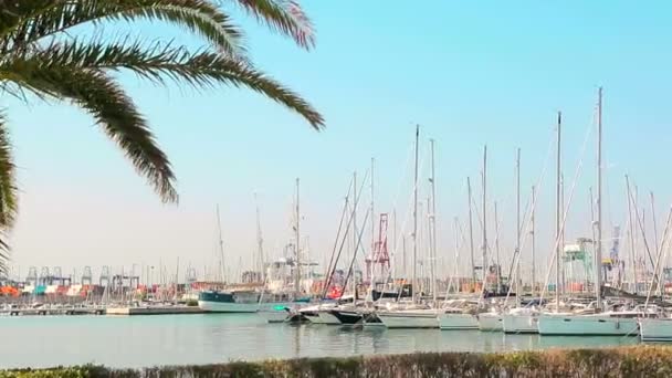 Clube de iates Maravilhosa manhã no porto de Valence. Iates estacionados estão balançando em ondas. Barcos à vela estão estacionados perto do porto do mar — Vídeo de Stock