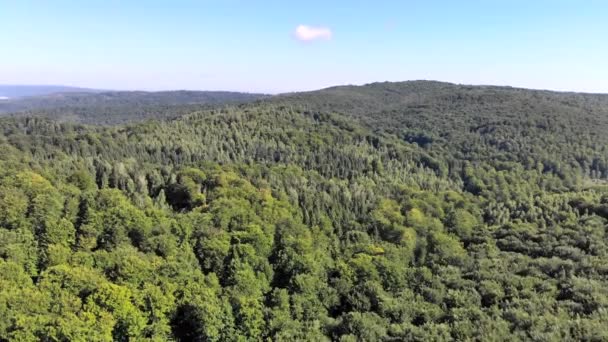 Drone Vuelo aéreo sobre las montañas cubiertas de bosque verde, una enorme cordillera de bosques. La cámara se eleva lentamente y muestra una vista panorámica del valle . — Vídeos de Stock