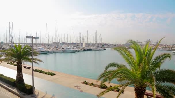 Hamnen i Valencia där segelbåtar och yachter ligger. Morgon i hamnen turist plats, promenad nära segelbåtar — Stockvideo
