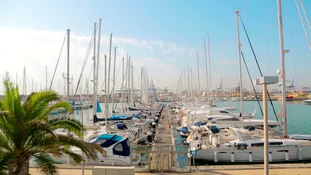 Lüks Yatlar sabah demirledi. Valence marinada olan — Stok video