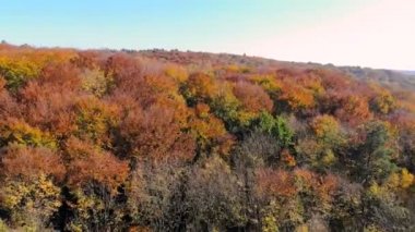 Havadan görüntüleri görünümü. Ormanlar, çayırlar ve gün batımı yumuşak ışık tepelerde ile sonbahar Dağları üzerinde uçuş.