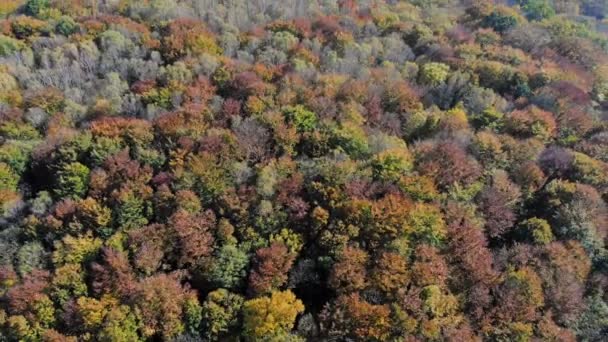 航拍画面视图。在飞越森林、 牧场和山丘日落柔和的光线与深山秋色. — 图库视频影像