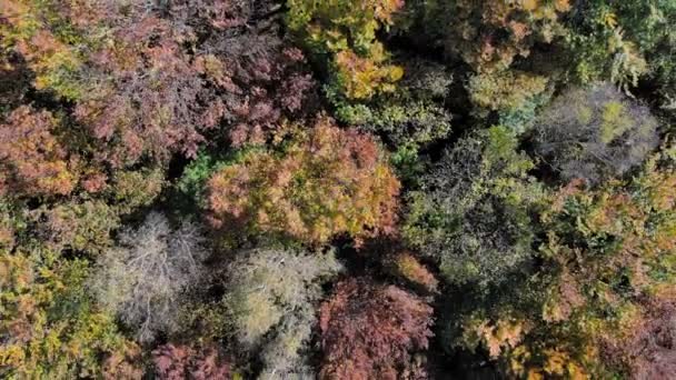 Luchtfoto beeldmateriaal bekijken. Vlucht over herfst bergen met bossen, weiden en heuvels in zonsondergang zacht licht. — Stockvideo