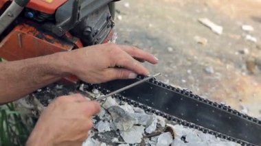Testere diş için ağaç kesme bileme. Testere Bileme aracı yakın çekim ile işçi keskinleştirir.