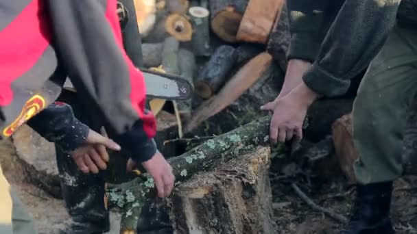 Werknemers gesneden houten kettingzaag. Logboekregistratie voor de winter — Stockvideo