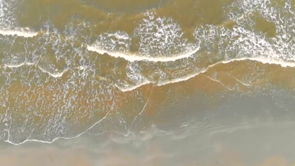 4К пляжная антенна, волна выходит на берег, вид сверху. Зеленые воды Северного моря и серый морской песок — стоковое видео