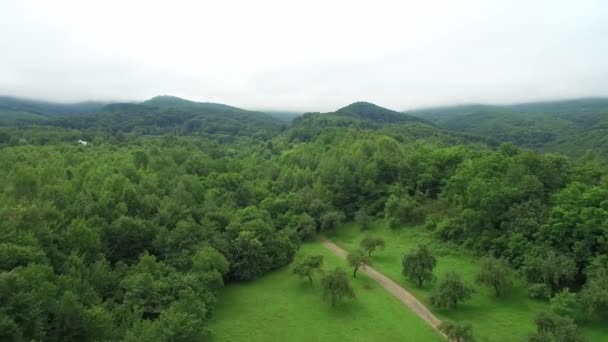 O voo acima das montanhas está coberto de nevoeiro. Fadas árvores verdes e jardins . — Vídeo de Stock