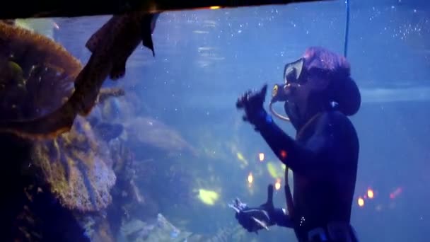 Duiker is in een groot aquarium tussen tropische vissen en haaien en voedt hen uit de handen — Stockvideo