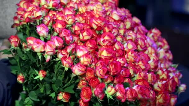 Riesiger Strauß rosa Rosen. 101 Rosen werden zum Tag der Liebenden gespendet — Stockvideo