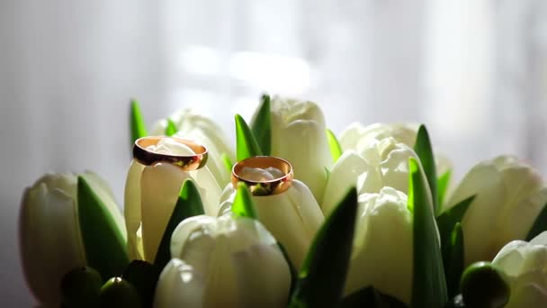 Witte Tulpen Als Achtergrond Trouwringen Een Boeket Van Witte Tulpen — Stockvideo