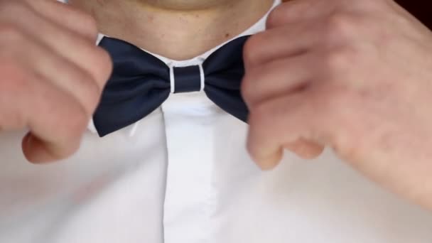 Mens hands is adjusting his bow tie, preparing for the holiday — Stock Video