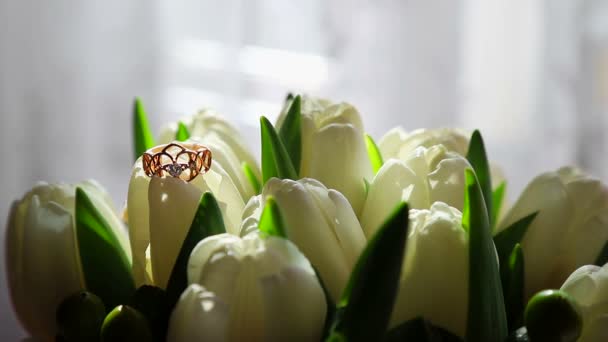 Белые тюльпаны в качестве фона. Обручальные кольца на букете белых тюльпанов. Луч солнца падает на кучу белых тюльпанов . — стоковое видео