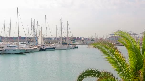 Teknelerden ve yatlar konumlandırıldığı Valencia bağlantı noktası. Sabah turistik yer, yürüme teknelerden yakınındaki limanda — Stok video