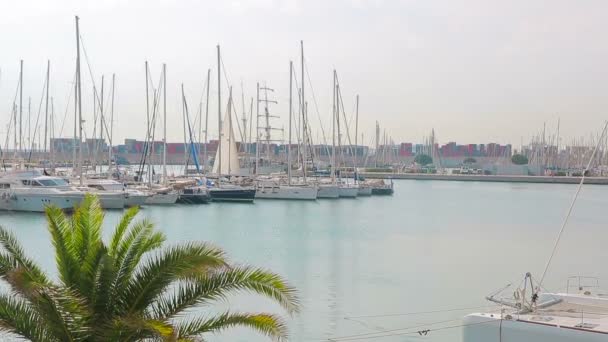 Teknelerden ve yatlar konumlandırıldığı Valencia bağlantı noktası. Sabah turistik yer, yürüme teknelerden yakınındaki limanda — Stok video