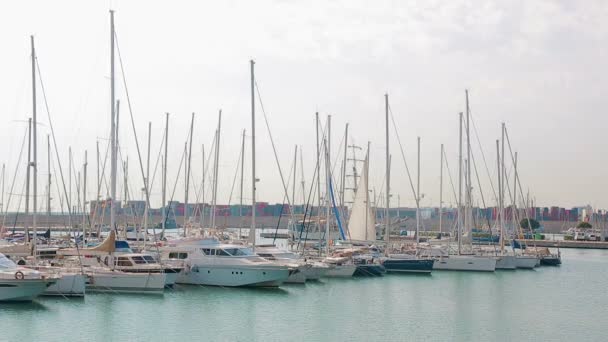 バレンシアの港はヨットとヨットの場所。ポート観光地、ヨットの近く徒歩で朝 — ストック動画