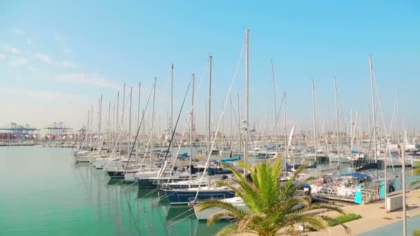 Clube de iates Maravilhosa manhã no porto de Valence. Iates estacionados estão balançando em ondas. Barcos à vela estão estacionados perto do porto do mar — Vídeo de Stock