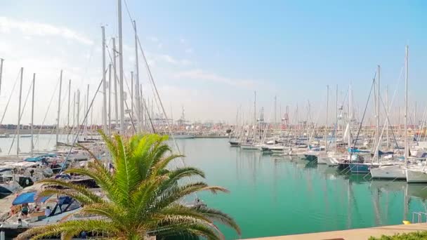 Clube de iates Maravilhosa manhã no porto de Valence. Iates estacionados estão balançando em ondas. Barcos à vela estão estacionados perto do porto do mar — Vídeo de Stock